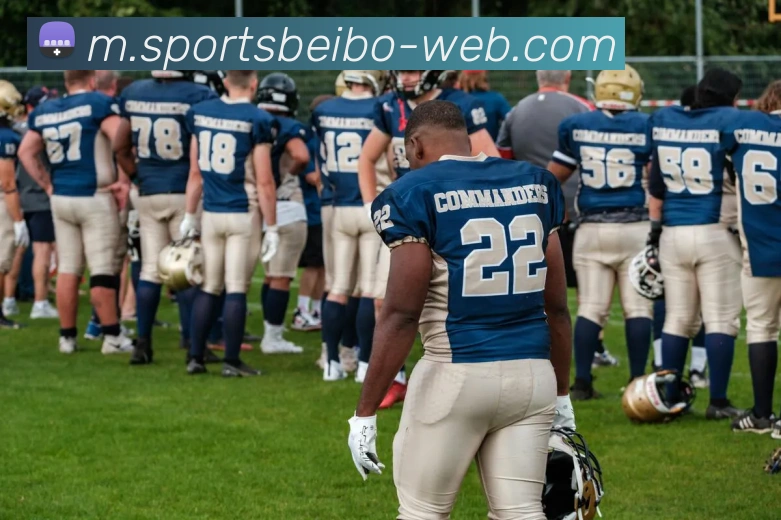 贝博体育平台生态图