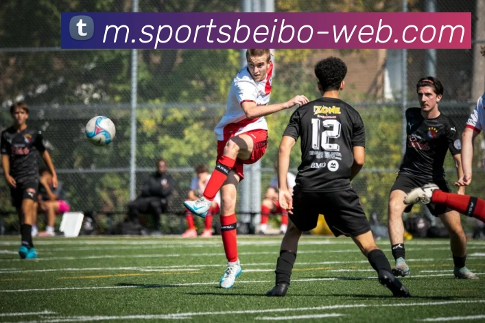 APP界面展示